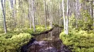 Мыс рожновского 2017