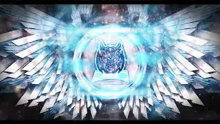 Wings Logo Reveal
