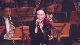 Ever Changing Anita Mui Medley - reprise 《百变梅艳芳》