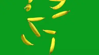 Banana Falling Animation in Green Screen and Black Screen Video Effect