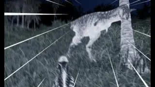 A Normal Day in The Isle