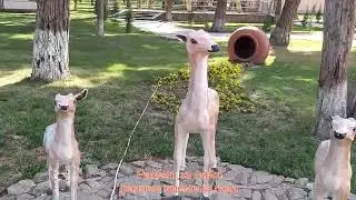 Таджикистан Чкаловск