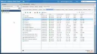 Backing up & Restoring Platform Service Controllers in VMware vSphere