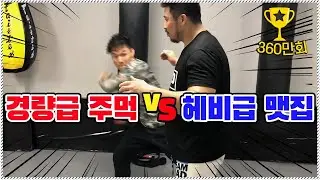 Will it hurt if Lightweight fighters punch a Heavyweight fighter in the stomach? (8VS1)