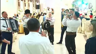 Nunti și petreceri  - 068274655. Colaj cu muzică de dans și voie bună LIVE/  Музыканты на свадьбу.