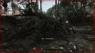 Hunt  Showdown | Attack of the bushwookie