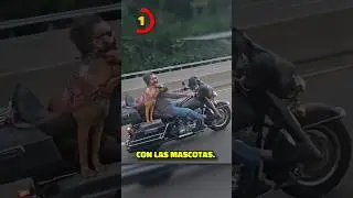 5 FOTOS que te harán ENOJAR…😡🤦