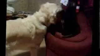 Без имени
