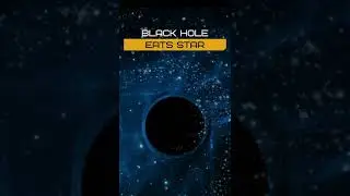 Black Hole Suddenly Eats Star and Announces its Presence | 
