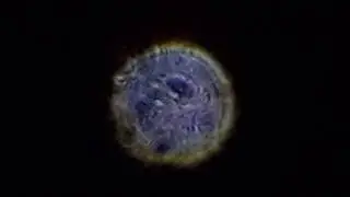 sirius star through homemade telescope