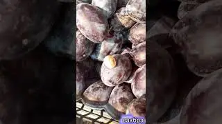 Живой бонус к сливам