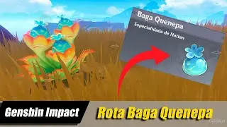 Baga Quenepa Rota com todos os locais Genshin Impact