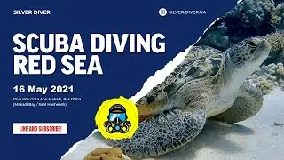🇪🇬 Egypt: 🤿 Diving in Red Sea - Makadi Bay, Sahl Hasheesh