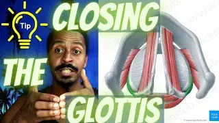Closing the Glottis – Anatomical Vocal Training (35)