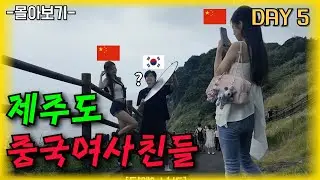 한국이 처음인 중국친구들과 함께 - 제주도 몰아보기