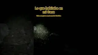 Lo que Habitaba en mi Casa #paranormal #miedoyterror #experiencia