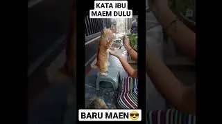 MAEM DULU, BARU MAEN #kucinglucu