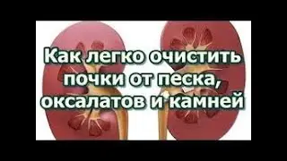 МОЩНО ЧИСТИТ ПОЧКИ, ВЫТЯГИВАЕТ ЖИР И ЛИШНЮЮ ЖИДКОСТЬ - ОТЁКИ 29.09.2020 г.