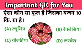 GK Question|| GK In Hindi || GK Question and Answer || GK Quiz ||Competitive GK||GK Fact || GK Today