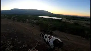 Laceadores de cerro #38