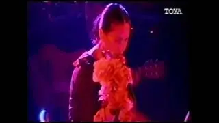 Kora Ola! Ola! 