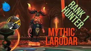Rank 1 Mythic Larodar | BM Hunter PoV | 293K DPS