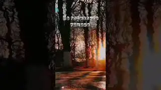 Kovonni - Наконец-то дома / Russian Doomer Music