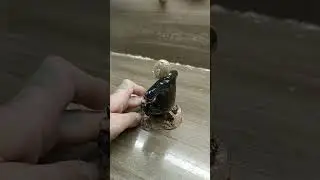 +79960062811 резная, из дерева, фигурка зека на панель в авто. ручная работа.