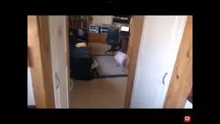 Basically when you see a Discord chat dead