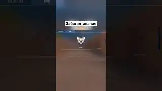 БАГ НА ВЫСОКОЕ ЗВАНИЕ В 