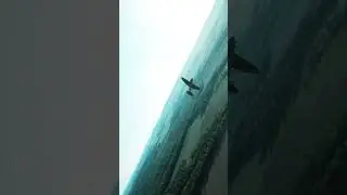 Spitfire