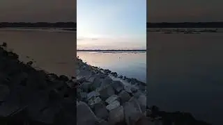 চরখালী ফেরীঘাটে সানসেট #shortsvideo #love #new