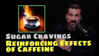 Sugar Cravings & Reinforcing Effects of Caffeine | Andrew Huberman