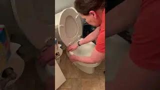 Toilet Prepping Tips For Move-Out Cleaning 