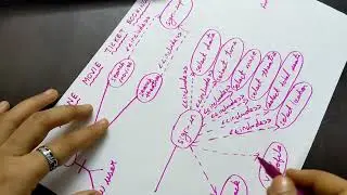 How to draw use case diagram for online movie ticket booking?