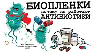 Биоплёнки - почему не работают антибиотики