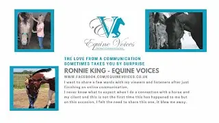Podcast  The Love from a Communication Sometimes Takes You by Surprise.