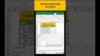 FILTER FUNCTION IN EXCEL 
