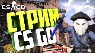 STREAM: Counter Strike: Global Offensive