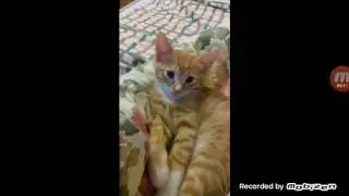 С новым годом!!!