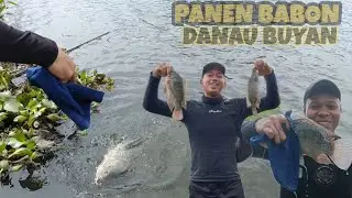 RESIDENTS OF LAKE BUYAN BALI ATTACKED BY TILA BABON GROUP 