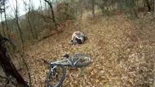 Blair crashing