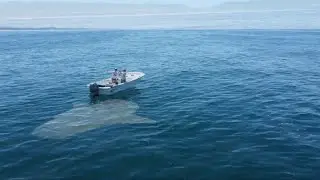 What was following us...?