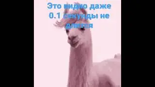 Видио без звука и длится 0 секунд