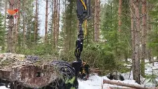 ZKT-TMK-200 с коллектором и сучкорезом на базе харвестера
