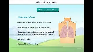 Air pollution | Effects of Air Pollution on Human being, Animals, Plant and Environment