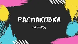 РАспаковка с Садовода. 75 кг. Очередное ЧП с бытовой химией