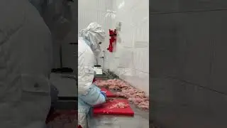 ЧТО ПРОИСХОДИТ НА ФАБРИКЕ ГОТОВОЙ ЕДЫ ПЕРЕКРЁСТОК