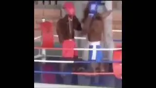 Monkeys Boxing meme template