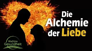 Die Alchemie der Liebe - Dr. Michaela Dane